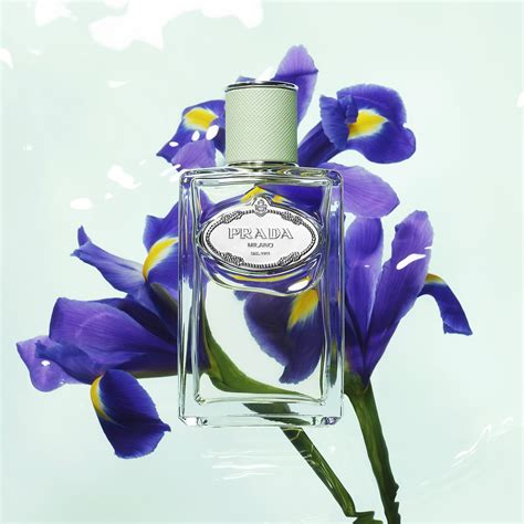 perfume iris cedre prada|prada iris perfume sephora.